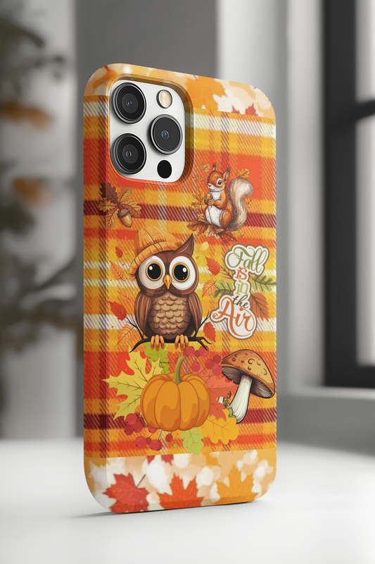 iPhone case