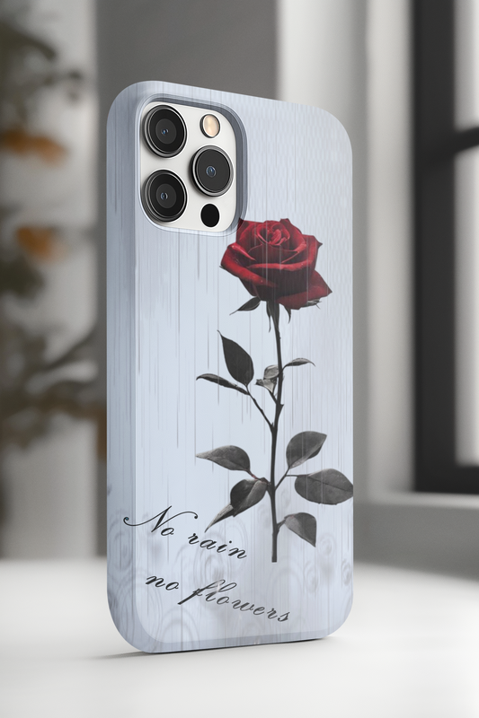 iPhone case